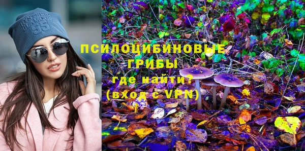 сатива Наволоки