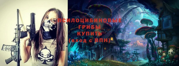 mdpv Надым