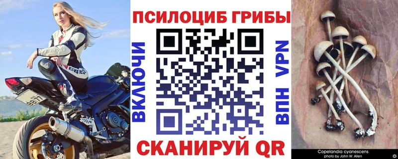 Галлюциногенные грибы Psilocybine cubensis  купить   Плавск 